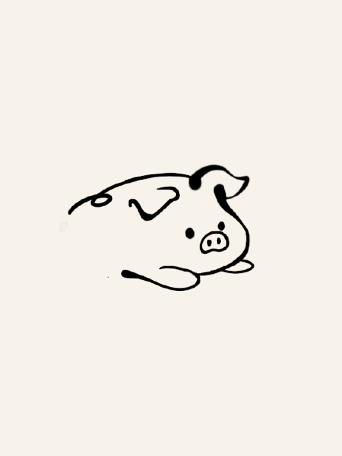 呆萌小豬