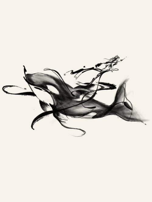 虎鯨x潛水者