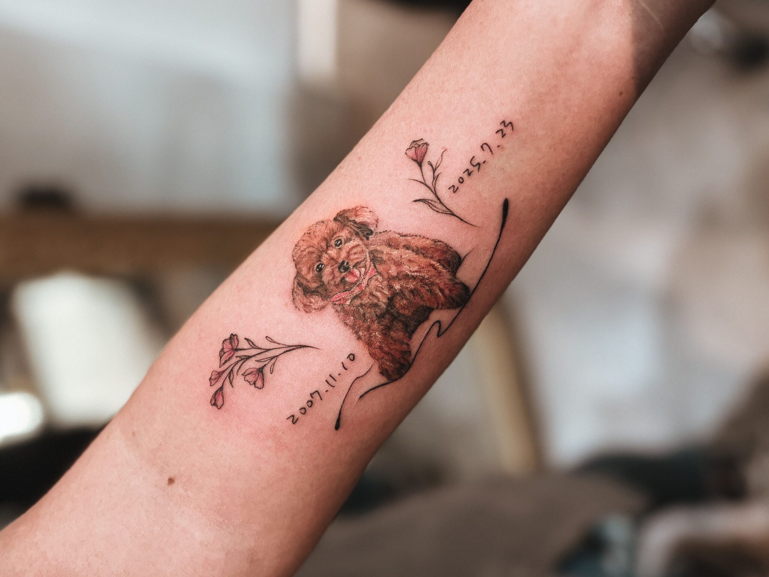 寵物刺青 台中刺青