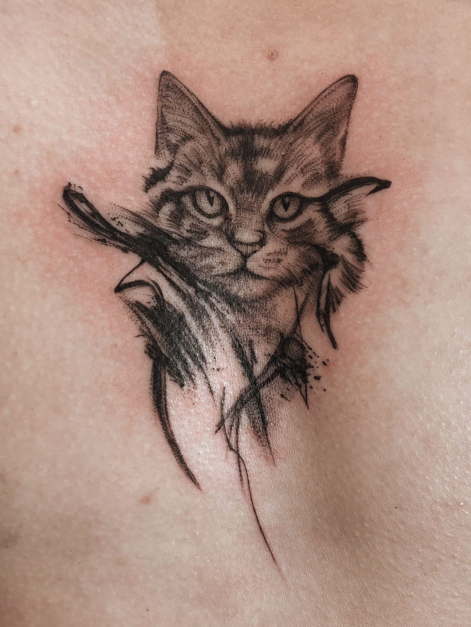 像老虎的貓刺青